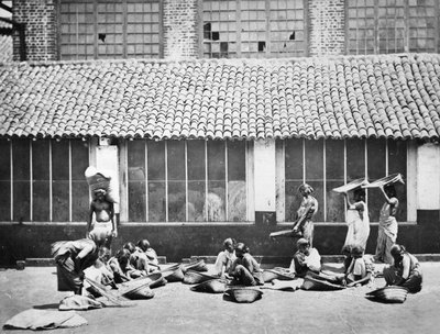 Cleaning and Sorting Coffee, Colombo, 1870 by S. and Shepherd, C. Bourne